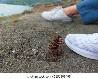 Pinecones between the legs of a girl who is sitting relaxing enjoying the holidays