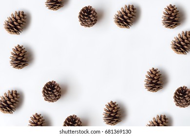 Pinecones isolated on white background, copy space
