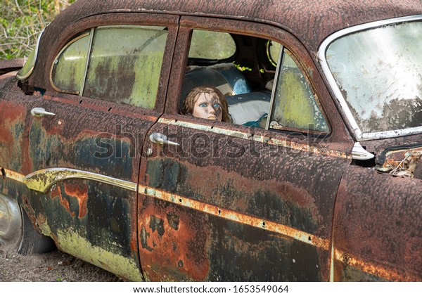 Pinecrest, Florida/USA -February 2,2020 : A creepy\
doll is propped on the seat of an abandoned rusty 1954 Dodge car at\
Pinecrest along the Loop\
Road.