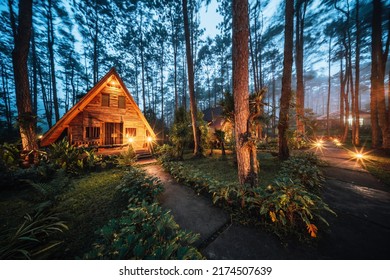 Pinewood cabin in pine forest green on nature trail. Wooden house or wooden hut along the Pinewood hill in twilight night - Shutterstock ID 2174507639