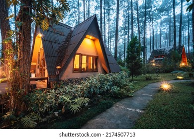 Pinewood cabin in pine forest green on nature trail. Wooden house or wooden hut along the Pinewood hill in twilight night - Powered by Shutterstock