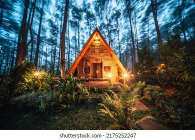 Pinewood cabin in pine forest green on nature trail. Wooden house or wooden hut along the Pinewood hill in twilight night - Powered by Shutterstock