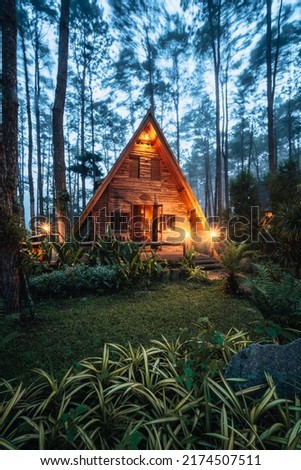 Pinewood cabin in pine forest green on nature trail. Wooden house or wooden hut along the Pinewood hill in twilight night