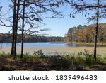 Pinewoods Lake in Mark Twain National Forest with fishing pier and lilly pads