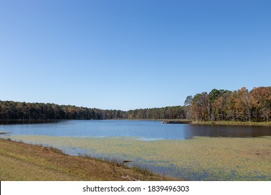 Pinewoods Lake In Mark Twain National Forest With Fishing Pier And Lilly Pads