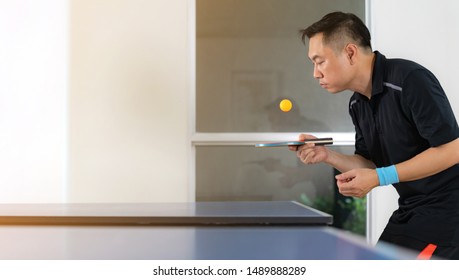 Imagenes Fotos De Stock Y Vectores Sobre Pingpong Shutterstock
