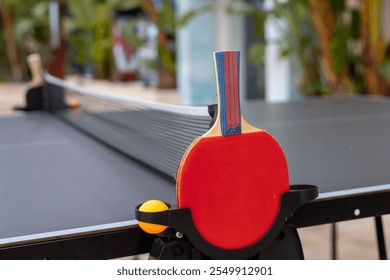 Ping pong table set up in a hotel garden in Turkiye on a sunny day - Powered by Shutterstock