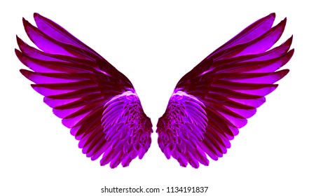 Ping Wings On White Background Stock Photo 1134191837 | Shutterstock