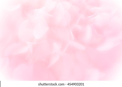 Pink abstract background,Summer background