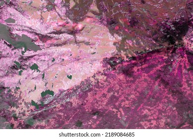 Pink Abstract Design Created From Lily Pad Photo