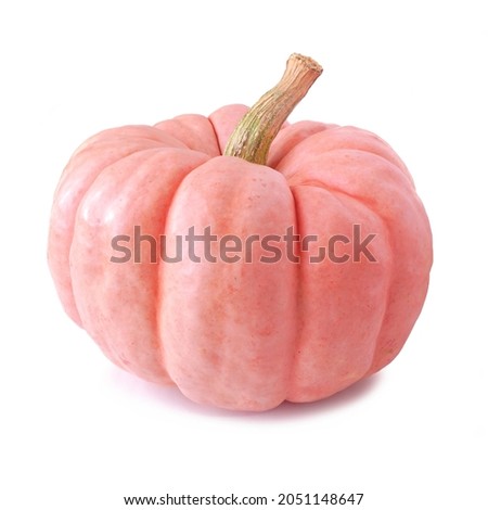 Pink autumn pumpkin isolated on a white background. Porcelain doll variety.