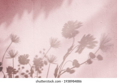 Pink Background With Floral Field Shadow