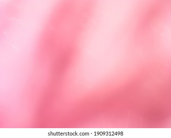 pink background gradations  photos and maximum blur   light concepts  suitable for wallpaper designs and artistic impressions