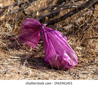 A pink bag containing dog waste sits alongside a desert trail waiting to be thrown away.