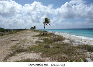 Pink Beach, Bonaire, Caribbean.  