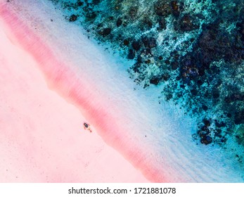 Pink Beach Komodo Komodo National Park