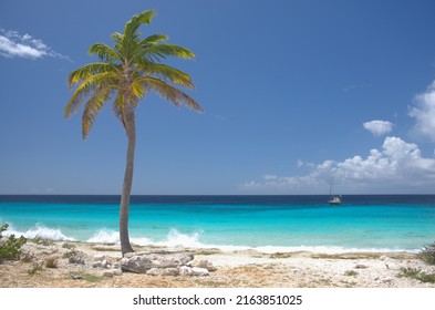 Pink Beach On Bonaire, Netherlands Antilles