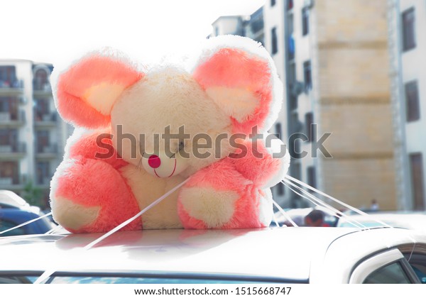 pink bear on the roof of the car . Cute teddy\
bear sitting on panoramic car\
roof