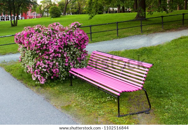 Pink Bench Flower Flowerbed Pink Flowers Stock Photo Edit Now