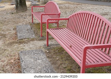 
Pink bench in a park in the woods
