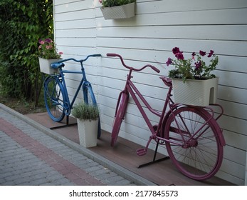 Pink Bicycle Garden Upcycle Design .bright Summer Scene. Gardening And Landscaping Concept.