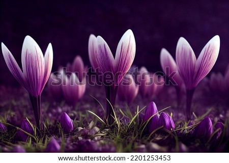 Similar – violet Nature Spring