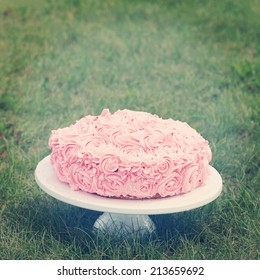 Pink Birthday Cake In Grass - Instagram Effect