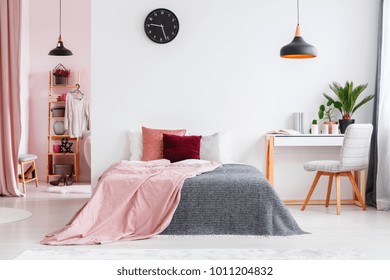 Pink Blanket On Bed Next To Desk And Grey Chair In Bedroom Interior With Black Lamp And Clock