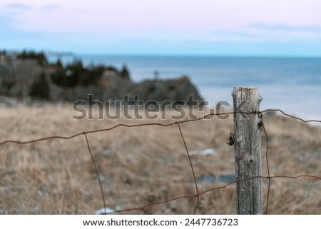 A pink and blue evening sky overlooking the blue ocean. There's a hill with a yellow grassy meadow, trees and a rocky coastline. A box wire fence joined to a wooden post stands in the foreground. 