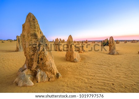 Pink blue twilight on the desert of pinnacles in WA Nambung National Park at sunset. These big pointed stones are the major tourist attraction of Western Australia.