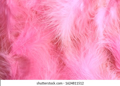 Pink boa background of purple feathers in art deco retro burlesque carnival