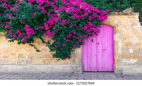 Pink bougainvillea flowers, old wooden door and cute lying cat on stone wall in Cyprus - Shutterstock ID 2173357069