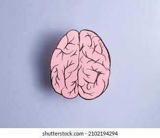 4,787 Human Brain Purple Images, Stock Photos & Vectors | Shutterstock