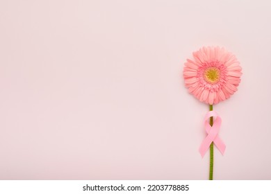 Pink Breast Cancer Awareness Ribbon. Gerbera and pink ribbon on backgrounds. Breast cancer awareness and October Pink day, world cancer day. Top view. Mock up. - Shutterstock ID 2203778885
