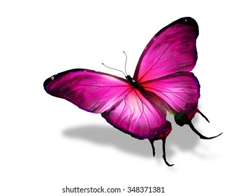 Pink Butterfly Flying Isolated On White Stock Photo 348371381 ...