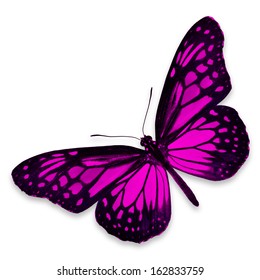 Pink Butterfly Isolated On White Background Stock Photo 162833759 ...