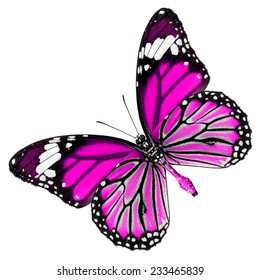 Pink Butterfly Lower Wing Profile Isolated Stock Photo 233465839 ...