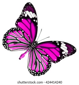 Pink Butterfly Lower Wing Profile Isolated Stock Photo (Edit Now) 424414240