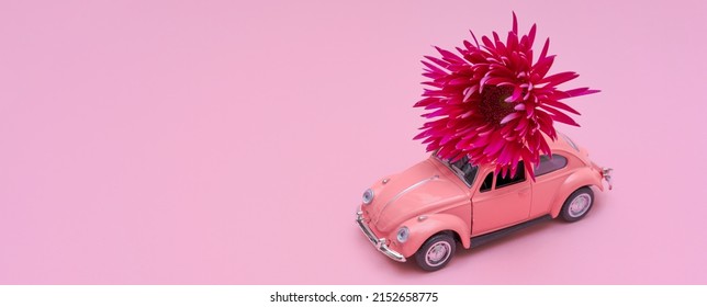 Pink Car With Chrysanthemum Flower On Roof On Pink Background. Happy Valentine's Day, Mother's Day And March 8, World Women's Day Greeting Card Concept, Flower Delivery.