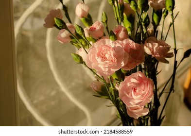 Pink Carnation Bouquet On The Window