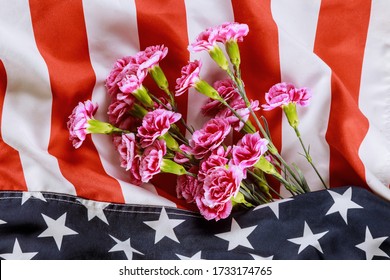 Pink Carnation Flowers In The USA Flag On Background, Of Remembrance Veterans And Memorial Day