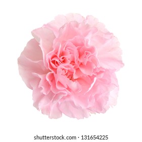 Pink Peony Isolated On White Background Stock Photo 659921473 ...