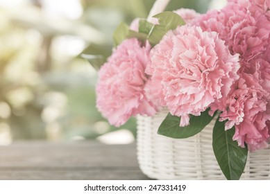 150,469 Carnation Stock Photos, Images & Photography | Shutterstock