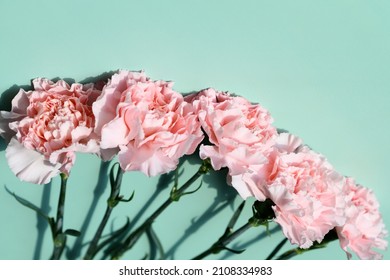 2,055 Light blue carnation Stock Photos, Images & Photography ...