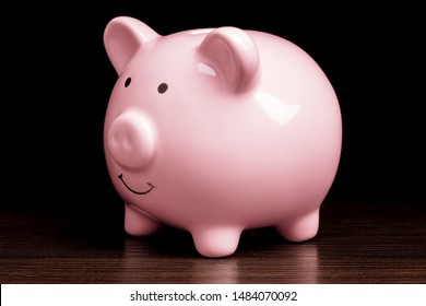 Ceramic Piggy Bank Early Retirement New