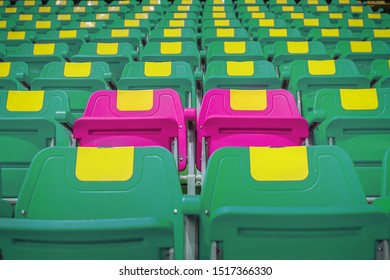 Pink Chairs In A Row Of Many Green Chairs, Empty On The Grandstand In The Indoor Stadium. Pink And Green Seats With Yellow Stripes.