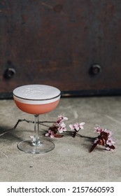 Pink Cherry Blossom Gin Flip Egg White Cocktail Still Life