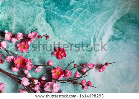 Similar – Carnation Flowers Frame Background