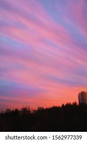 Pink Clouds In The Blue Sky