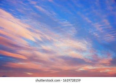 Pink clouds are floating on a bright blue sky. The evening horizon glows with multicolor. Vanilla romantic mood in the early morning or evening at sunset. - Shutterstock ID 1619728159